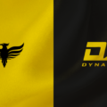Wellington Phoenix anuncia parceria com Dynasty Sport